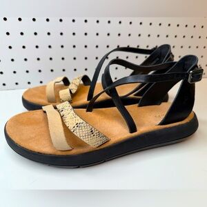 Clarks Women's Jemsa Strap Leather Sandals - Black Snakeskin Combination Size 8M